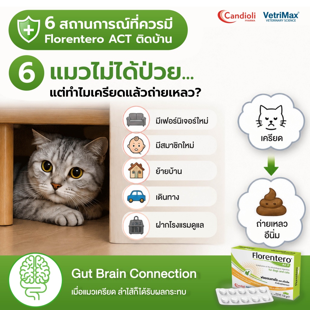 Florentero ACT 6 สถานการณ์_P 6.jpg